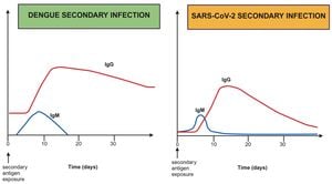 Kinetics Of NS1 And Anti-NS1 IgG Unveils Immune Complex Formation