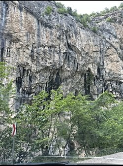 Siyah lekelerin sebebi nedir?