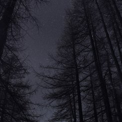 Allalinhorn’un Üzerinde Mars