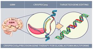 New CRISPRi Method Revolutionizes Multi-Locus Gene Targeting