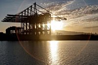 Trump Tariff Challengers Back Fast-Track Supreme Court Review