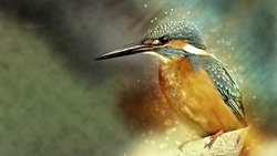 Biyomimikri Felsefesi Nedir? Mühendislik, Milyonlarca Yıldır Süren Evrimin Ürünü Olarak Görülebilir mi?