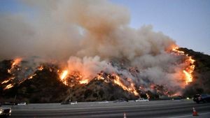 Grammy Awards To Honor Los Angeles Wildfire Victims