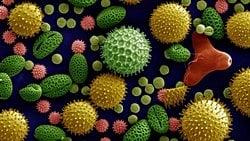 Palinoloji Nedir? Polenlerden Kriminolojiye Uzanan Bir Bilim Dalı...