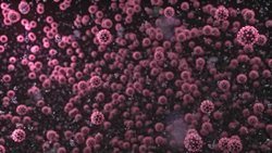 SARS-CoV-2 Artık Çok Daha Hızlı Evrimleşiyor ve Bu, Salgınla İlgili En Büyük Problem: Virüs, İnsan Toplumunda Kalıcı Hale Gelebilir!