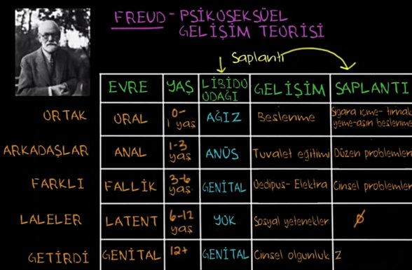 Psikoseksüel Gelişim