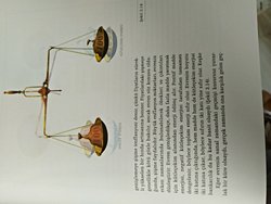 Stephen Hawking'in bu düşüncesi ya da "hipotezi" ne kadar doğru?