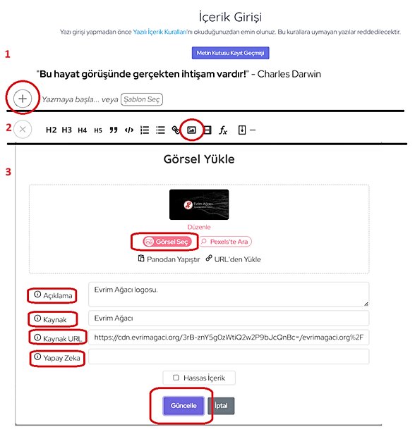 1. adımda + tuşuna basıyoruz. 2. adımda görsel ikonuna tıklıyoruz.3. adımda görsel seçiyoruz, gerekli bilgileri dolduruyoruz ve güncelle tuşuna basıyoruz.
