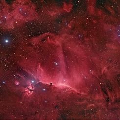 Wisps Surrounding the Horsehead Nebula