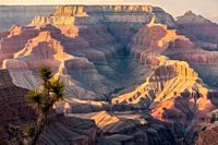Arizona Leads Wyoming, Montana, Maine, Tennessee, California, Florida as American Most Breathtaking Epic National Parks Based on Instagram, Google, and TikTok, New Update is Here - Travel And Tour World