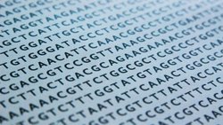 Altıncı Nükleotit: Sitozinin Bilinmeyen Versiyonu, Gözden Kaçan DNA Dizilerini Bulmamızı Sağlayabilir!