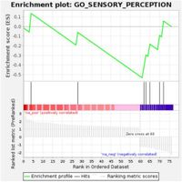 Gene expression study in retinoblastoma patients with different anaplasias and lateralities - Scientific Reports
