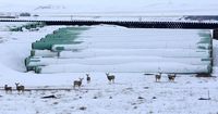 Keystone oil pipeline shut down after 