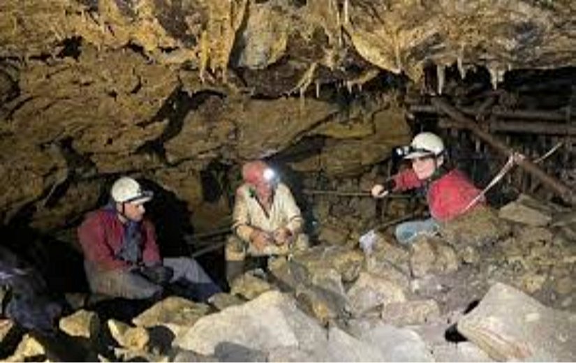 Araştırmacılar eski enfeksiyonları incelemek için İngiltere'deki insan kalıntılarından genomlar çıkardılar.