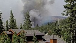 Kaliforniya'daki Orman Yangınlarının Dumanı, 11 Yılda 50.000'den Fazla Ölüme Neden Oldu!