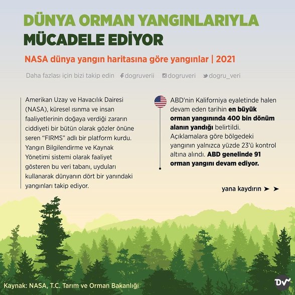 Hangi ülkeler yangınla mücadele ediyor (1)