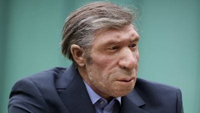 Neandertal Nedir? Kimdir? Neandertaller Hakkında Temel Bilgiler ve Gerçekler...