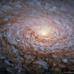  M63: The Sunflower Galaxy from Hubble 