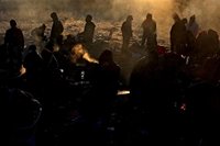 Ukrainians to keep propping up Poland's labour market, Fitch says