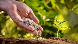 Makro ve Mikro Elementler Nelerdir?