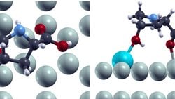 Amino Asitler ve Bir Kemik Minerali Magnezyum İmplantların Erimesini Kontrol Altına Alabilir mi?