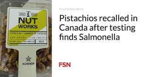 Nutworks Issues Pistachios Recall Over Salmonella Risk