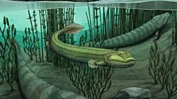 Diğerleri karaya çıkarken suda kalan bir balık fosili olan Qikiqtania ile tanışın.