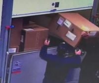 Watch yobs steal lorryloads of YOUR parcels after setting up fake haulage firm
