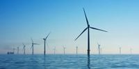 State Roundup: Trump Plans To Pull Key O.C. Wind Farm Permit; Primary Care Doctors In Short Supply; Moore Corrects Trump On Source Of Key Bridge Funds