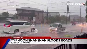 Chiba Residents Rely On Accurate Weather Reports