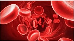 ANTİFOSFOLİPİD ANTİKOR SENDROMU