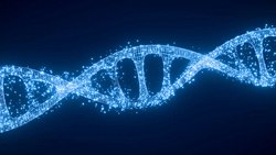 İnsanlar Kış Uykusu Genlerine Sahip Olabilir mi? Yeni Araştırmalar ‘Hibernasyon Genlerinin’ Sağlıkta Kullanılabileceğini Gösteriyor.