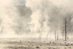 Yellowstone’un Aşırı Sıcak Seven Mikropları: Termofilik Canlıların Gizemli Dünyası.