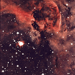 Latest Comet Hyakutake images: