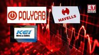 Polycab share down 9%; Why wire & cable stocks declined today, March 20?