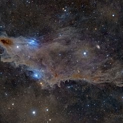 LDN 1235: The Shark Nebula