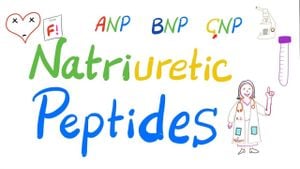 New Study Reveals Racial Differences In Natriuretic Peptide Responses