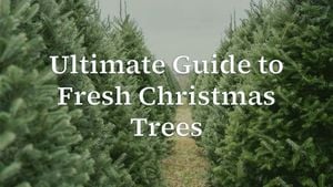 Select And Care For Your Ideal Christmas Tree