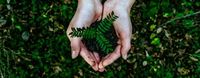 UC celebrates Earth Day with greener, bolder moves