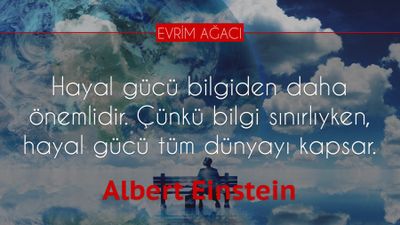 Albert Einstein: Hayal Gücü, Bilgiden Önemlidir!