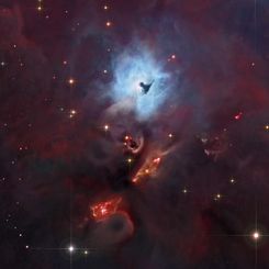 NGC 1999: South of Orion