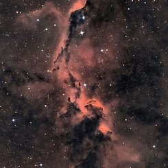 Cepheus'taki Fil Hortumu