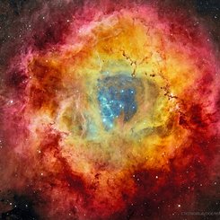 The Rosette Nebula from DECam