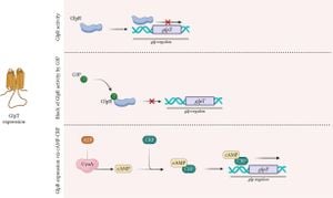 Salmonella's Fitness Shifts Showing Antagonistic Pleiotropy Of GlpT Gene