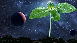 Tardigradlar, Mars'ta Tarım Yapmamızı Sağlayabilir!