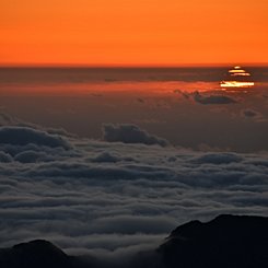  A Green Flash of Spring 