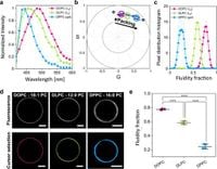 Lipid packing and cholesterol content regulate membrane wetting and remodeling by biomolecular condensates - Nature Communications