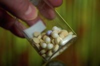 FDA recalls blood pressure medication over potential cancer-causing chemicals