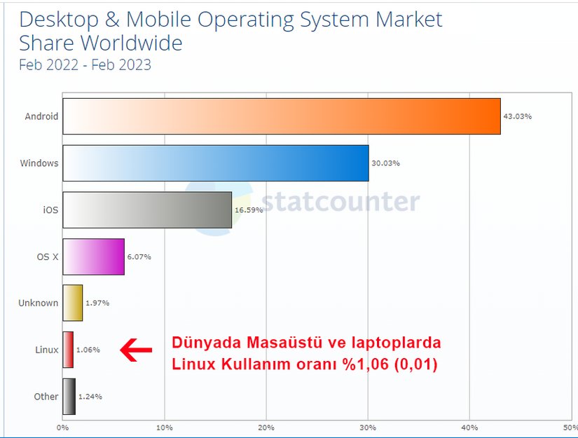 İşletim Sistemi Kullanım Oranları
