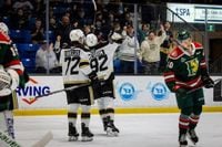 Final Tune-Up: Isles Face Mooseheads Before Round One Matchup with Oceanic - Charlottetown Islanders